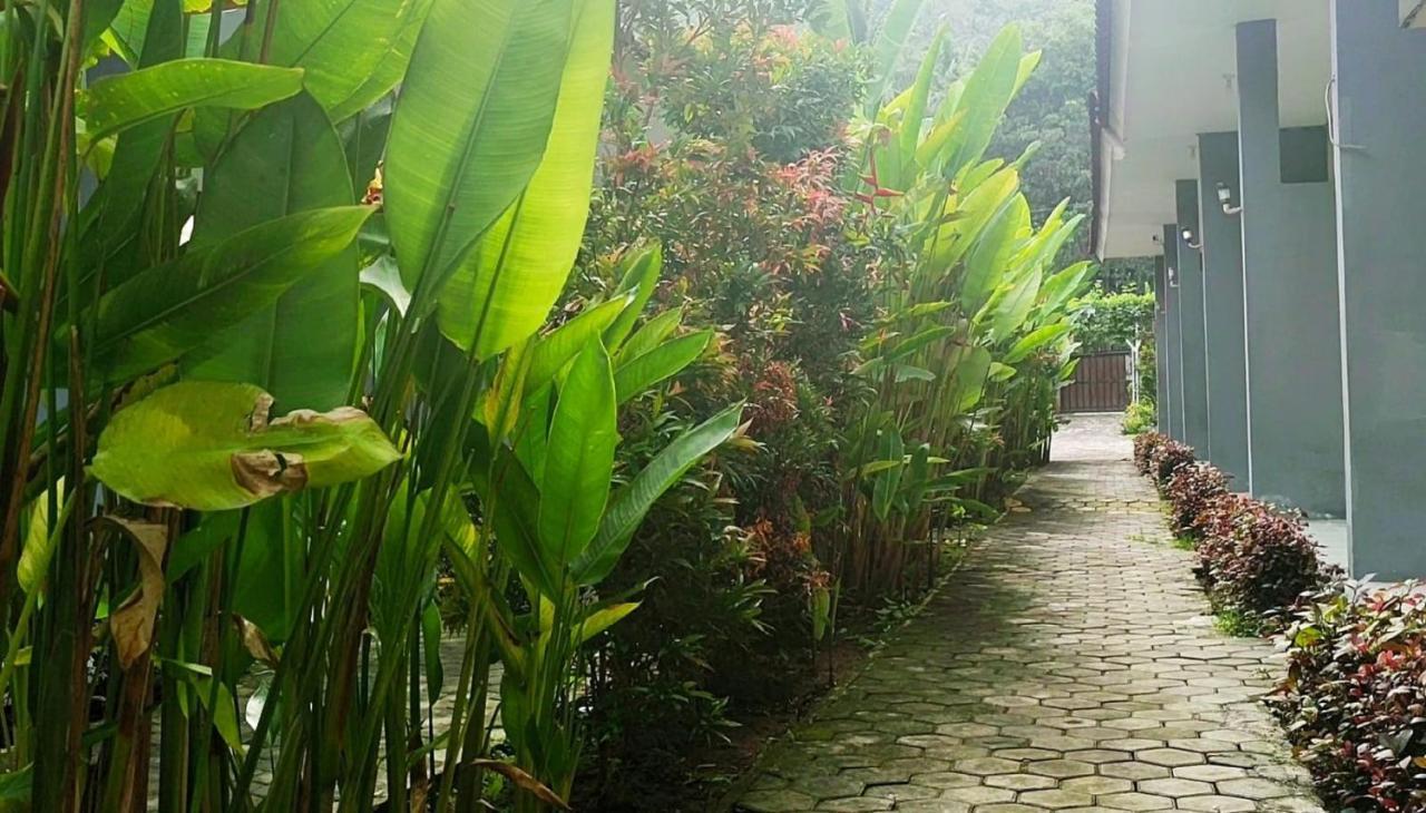 Oyo 2864 Mangsit Garden Homestay Dış mekan fotoğraf